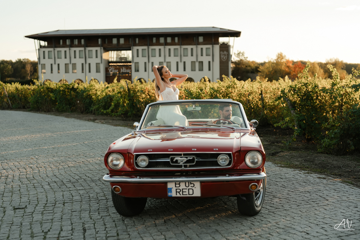 Sedinta nunta la Casa Vlasia