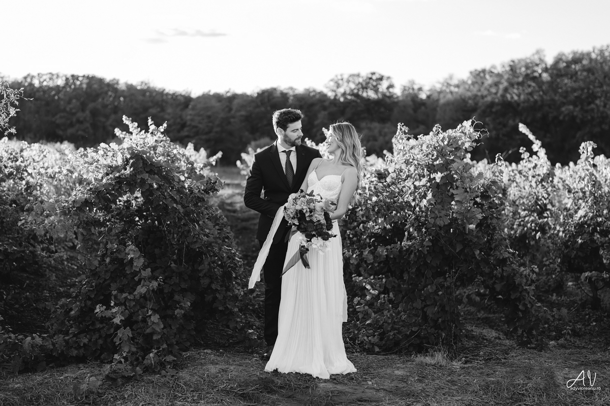 Sedinta nunta la Casa Vlasia