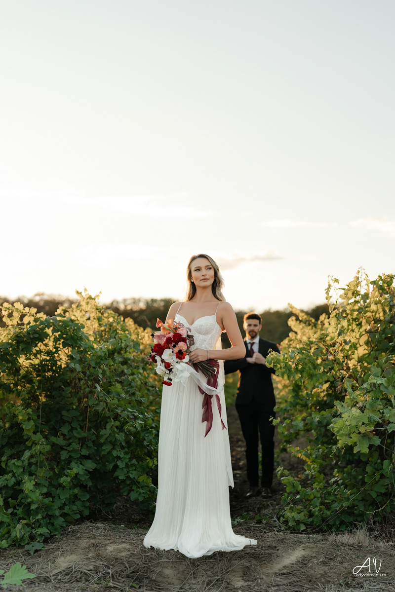 Sedinta nunta la Casa Vlasia