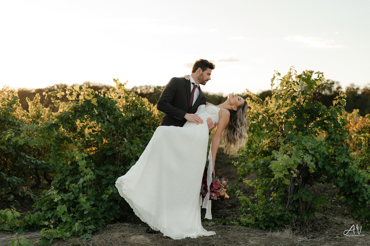 Sedinta nunta la Casa Vlasia