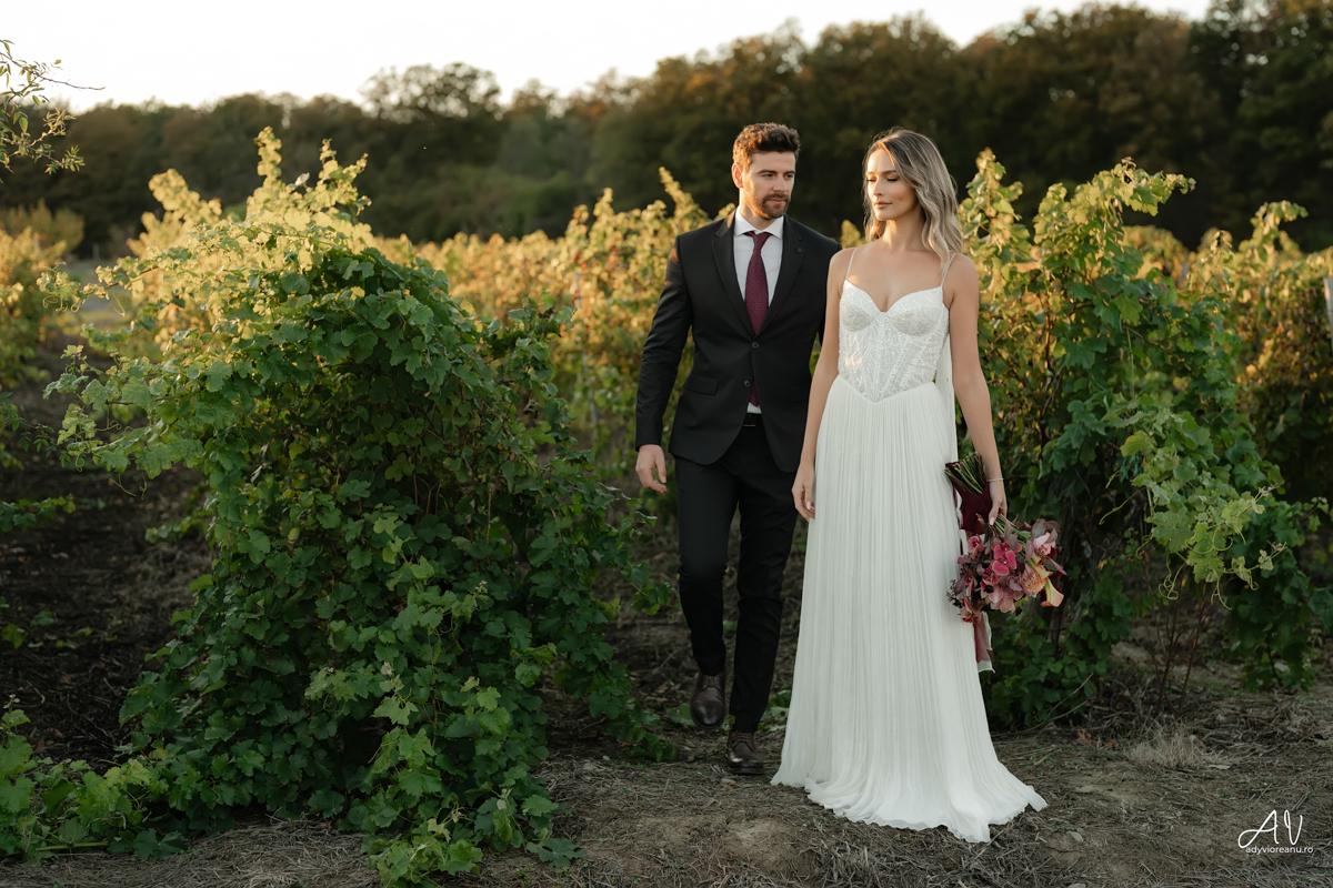 Sedinta nunta la Casa Vlasia