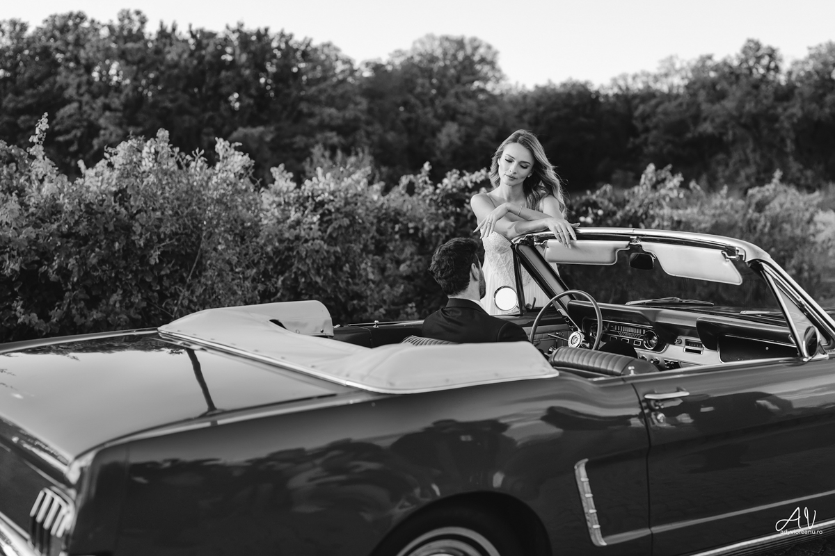 Sedinta nunta la Casa Vlasia