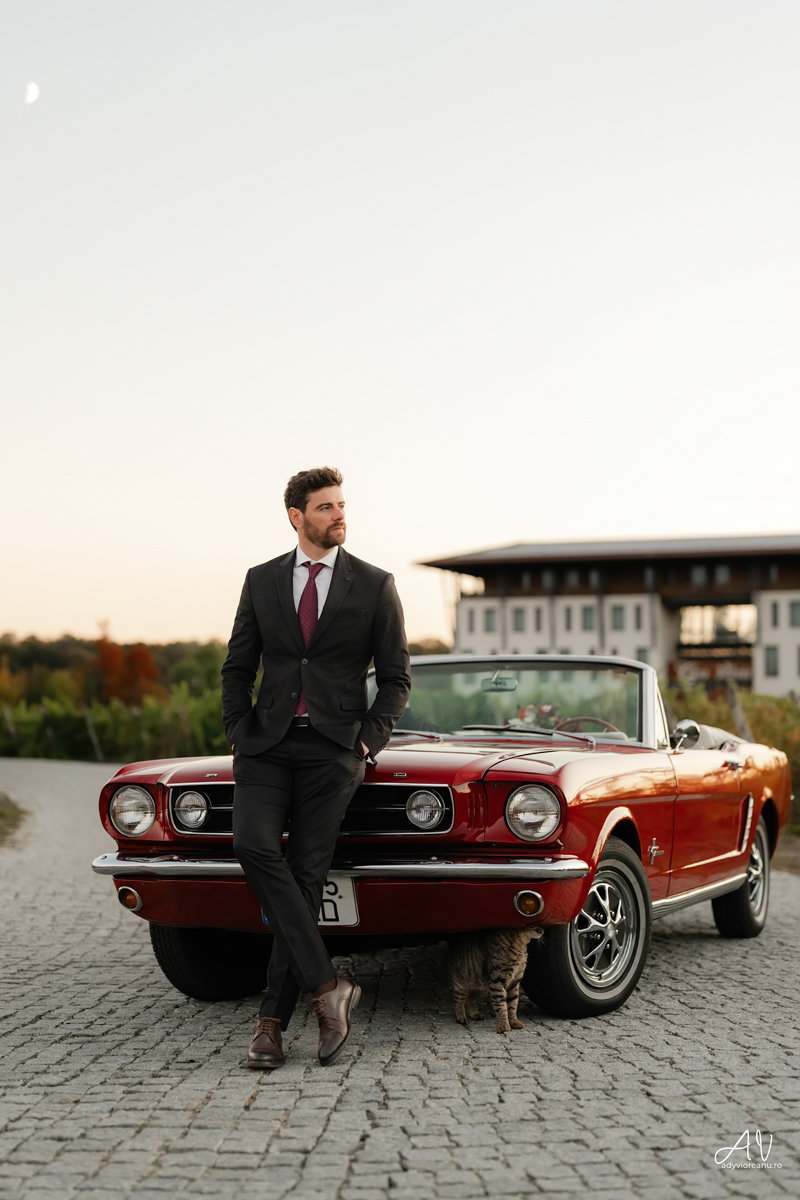 Sedinta nunta la Casa Vlasia