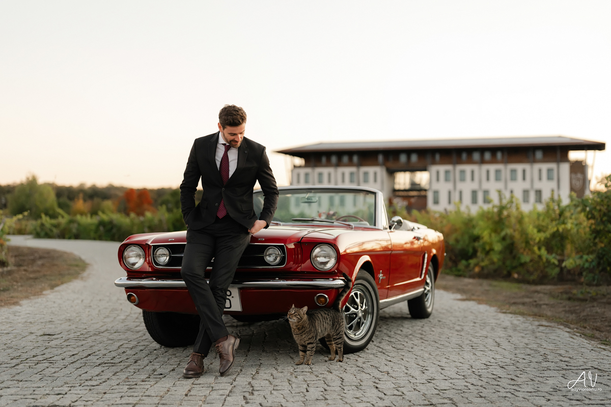 Sedinta nunta la Casa Vlasia