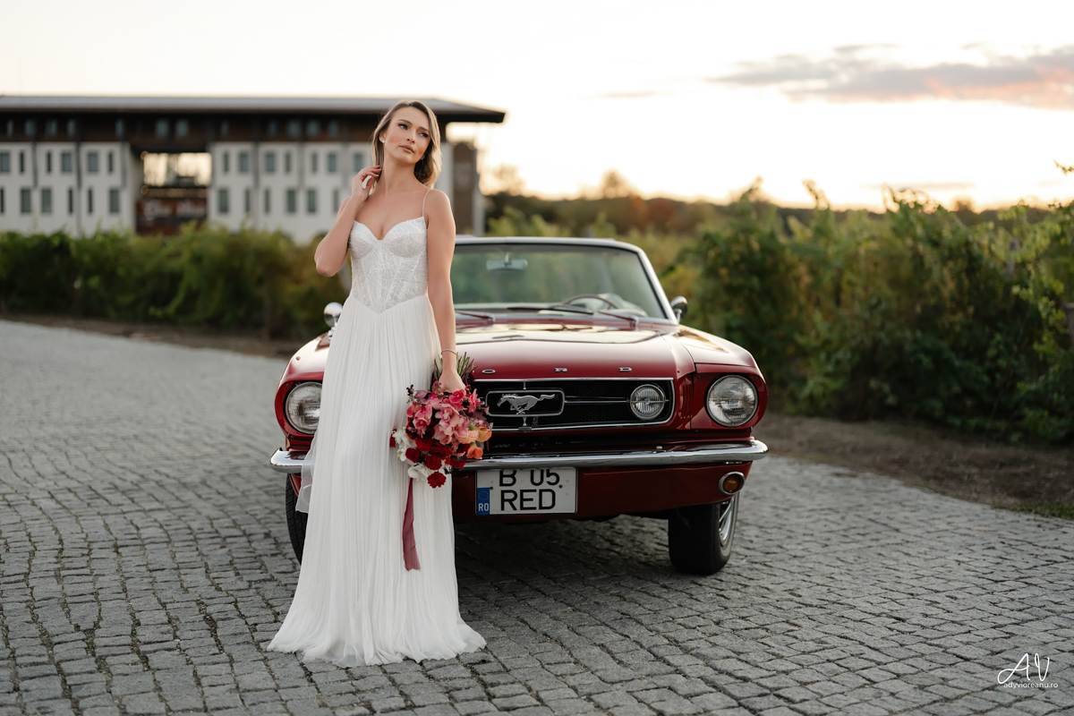 Sedinta nunta la Casa Vlasia