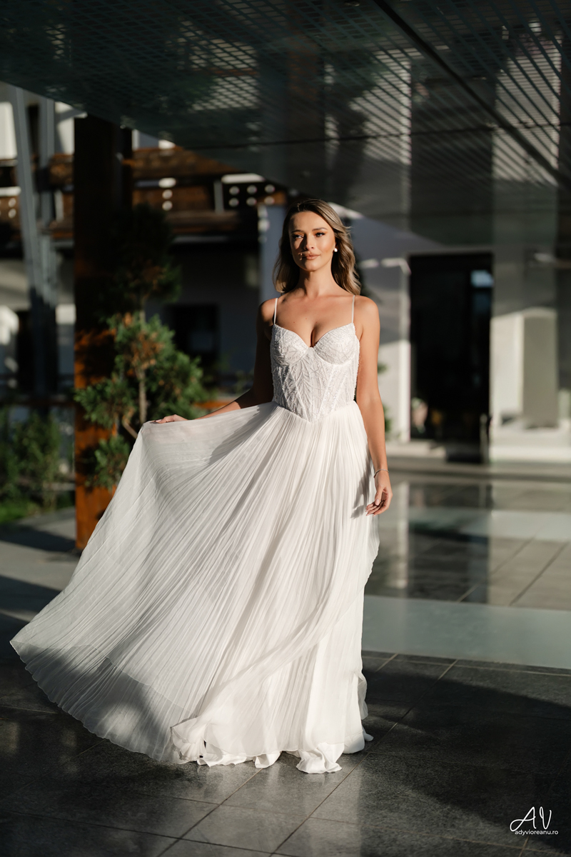 Sedinta nunta la Casa Vlasia