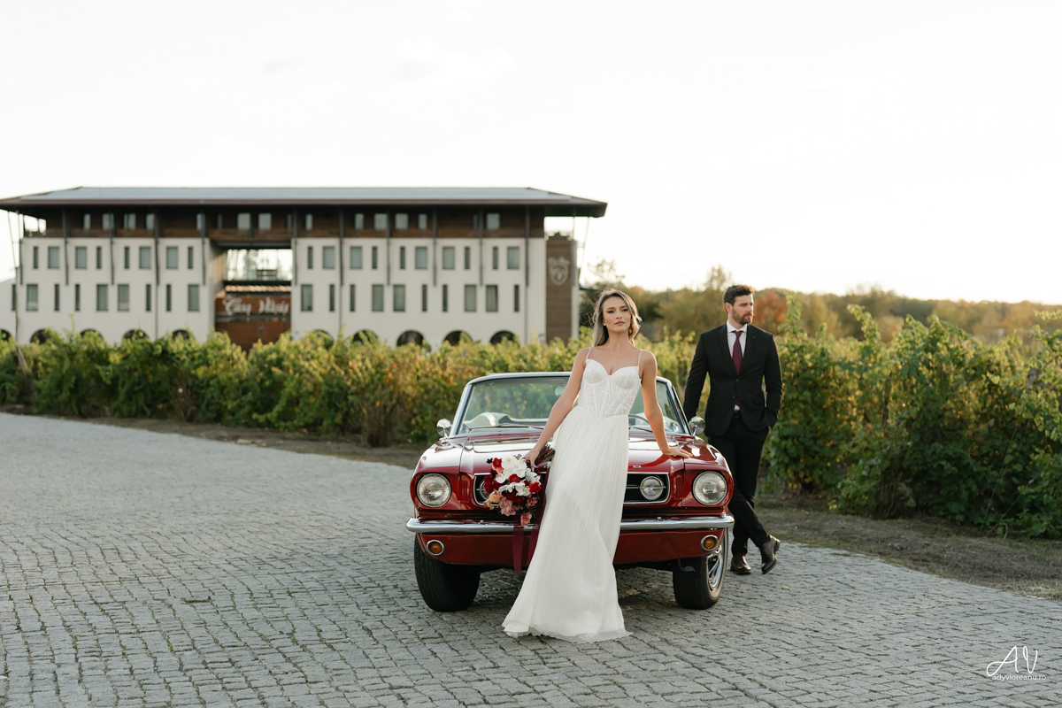 Sedinta nunta la Casa Vlasia