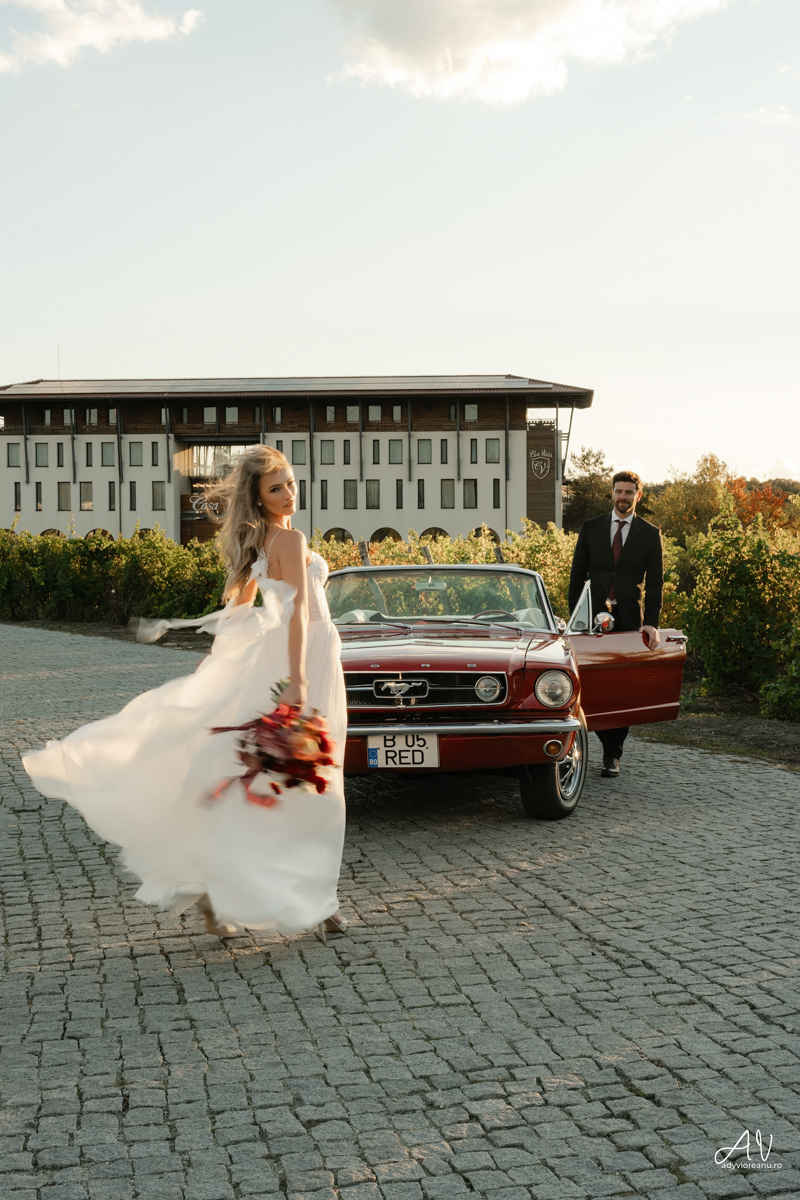 Sedinta nunta la Casa Vlasia