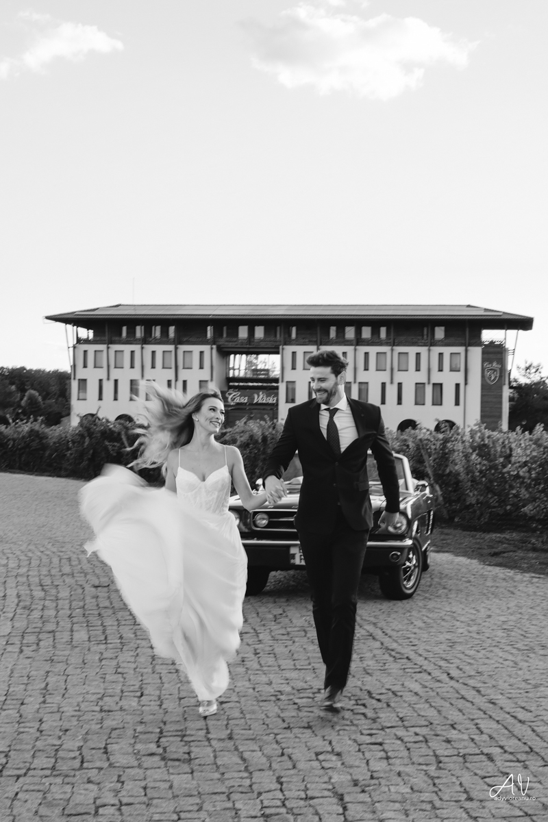 Sedinta nunta la Casa Vlasia